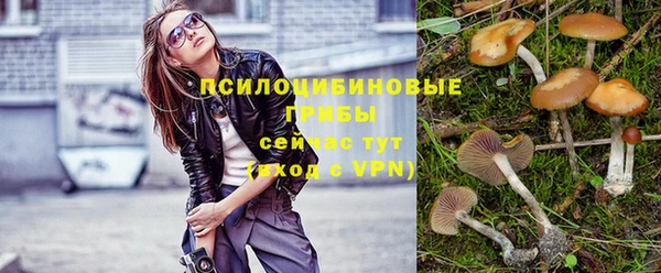 МДПВ Покачи