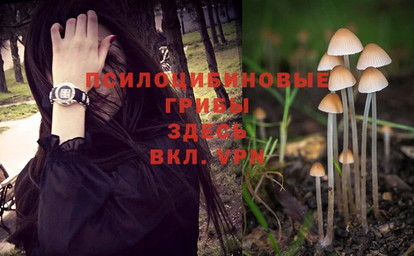 apvp Покров