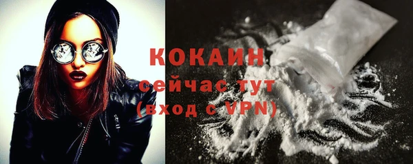 гашик Покровск