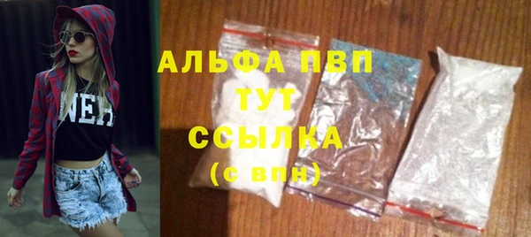 гашик Покровск
