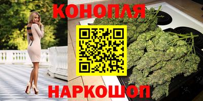 индика Новозыбков