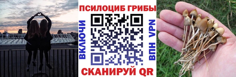 сколько стоит  Ханты-Мансийск  Галлюциногенные грибы прущие грибы 